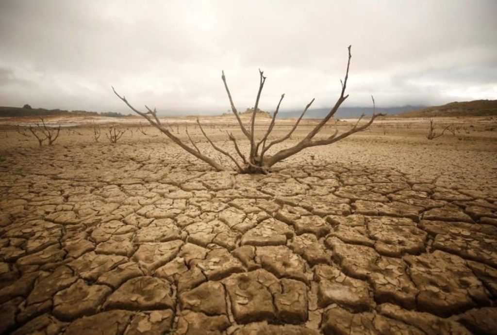 The Climate Emergency